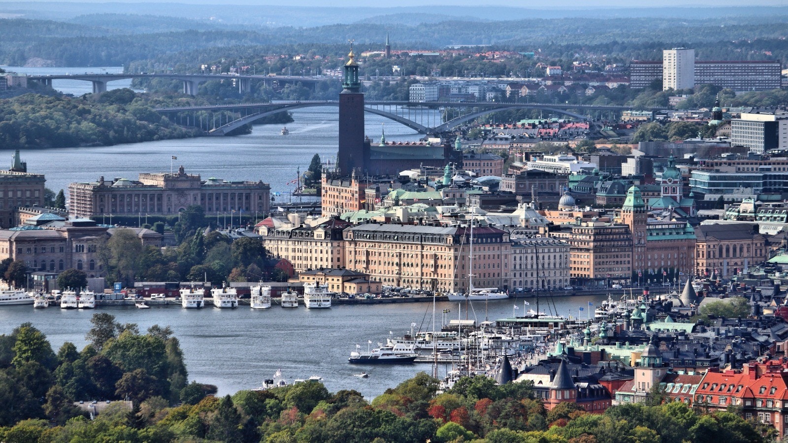 hero IPO Nordic Watch 2024